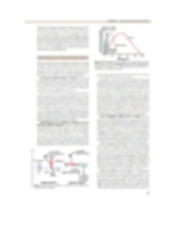 pf1b