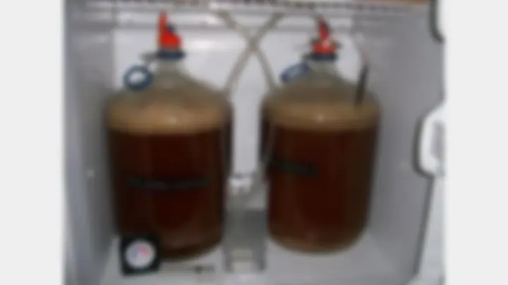 pf20
