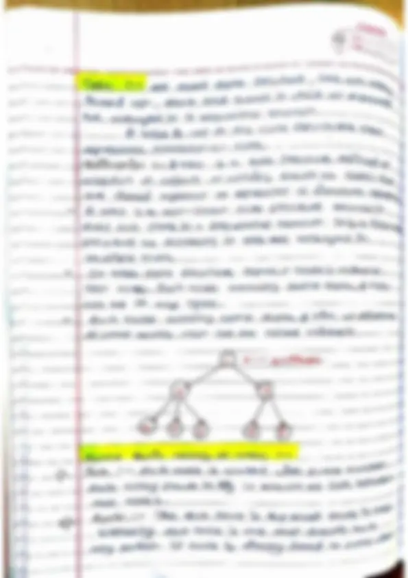 pf31