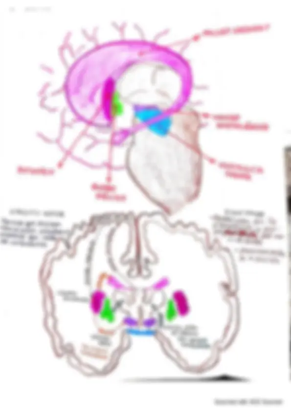 pf2