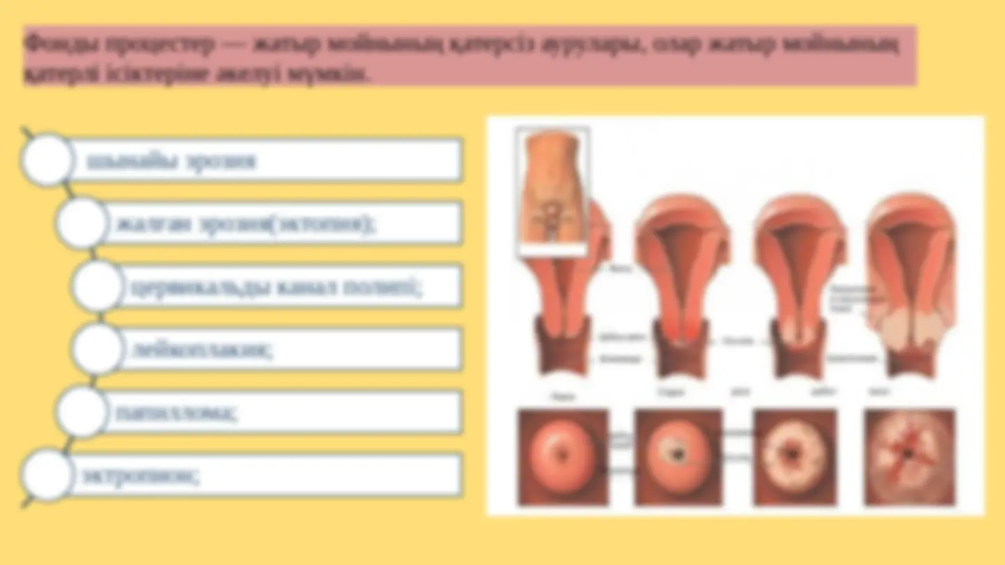 Порно банк №