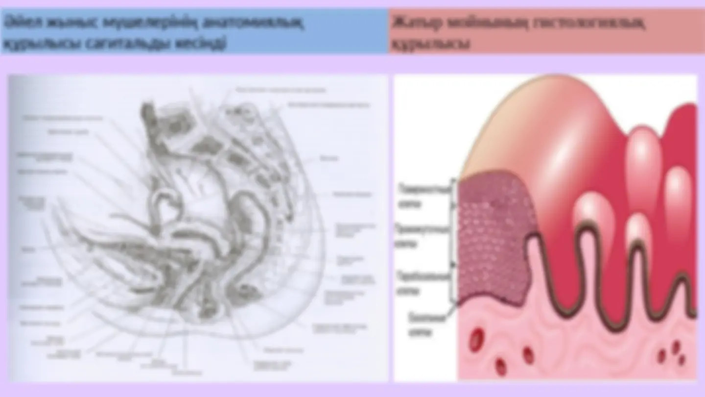 Влад пен Нюша жыныстық қатынасқа түсті