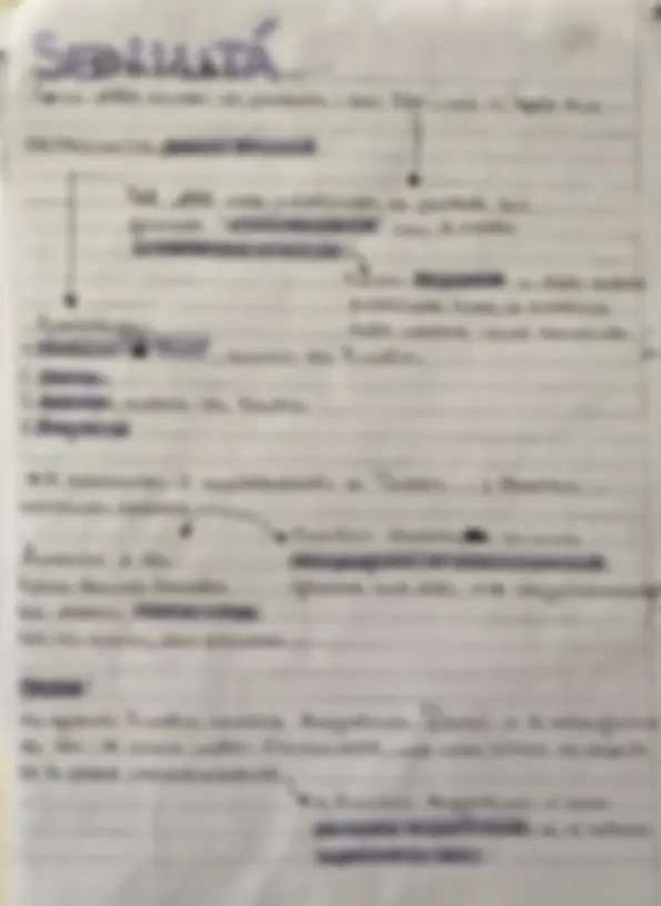 pf1d