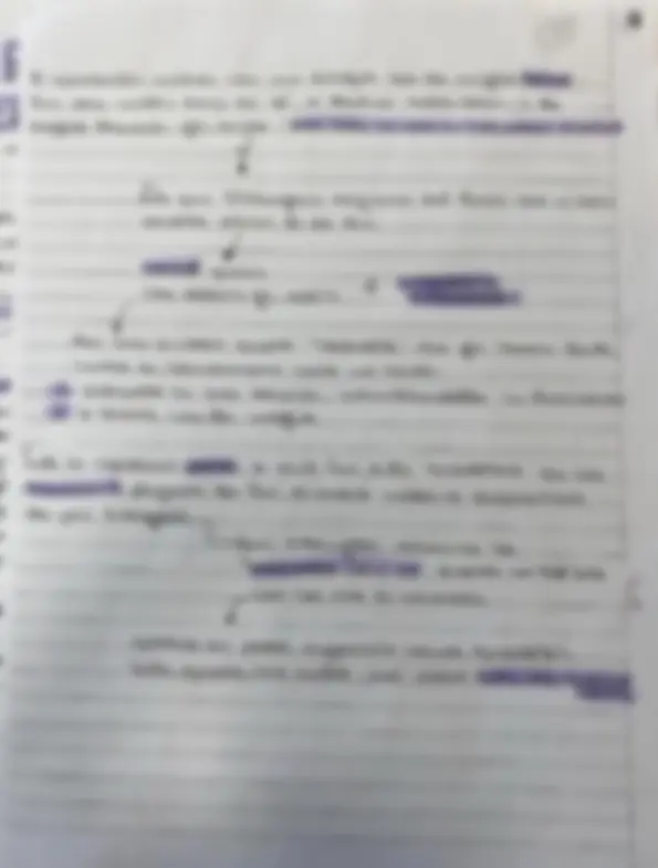 pf31