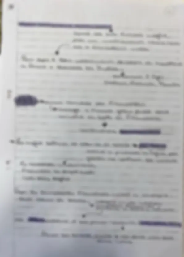 pf28