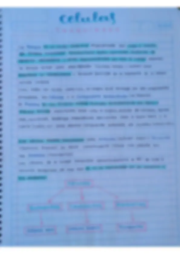 pf4