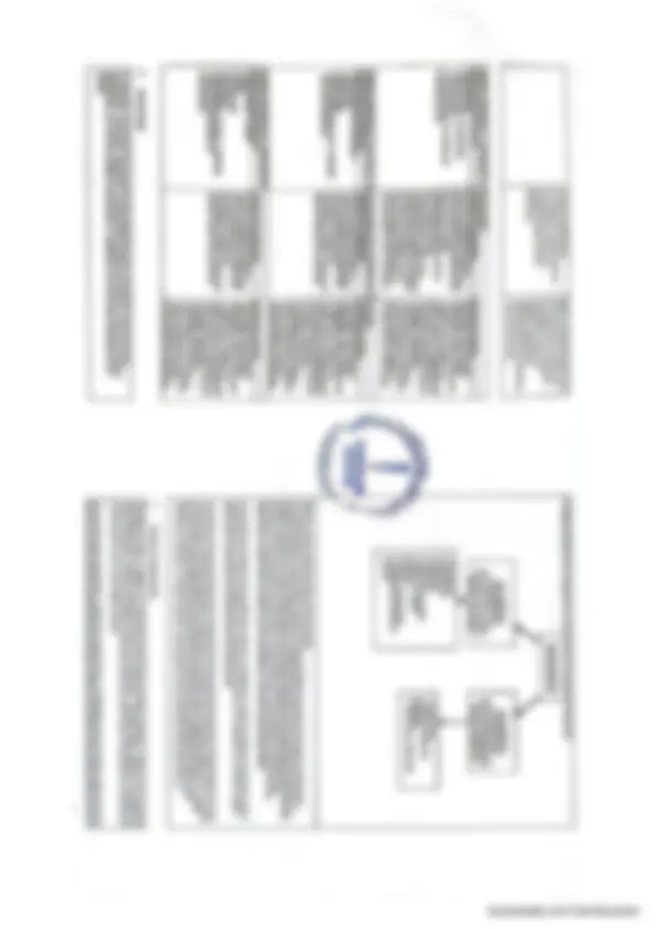 pf31