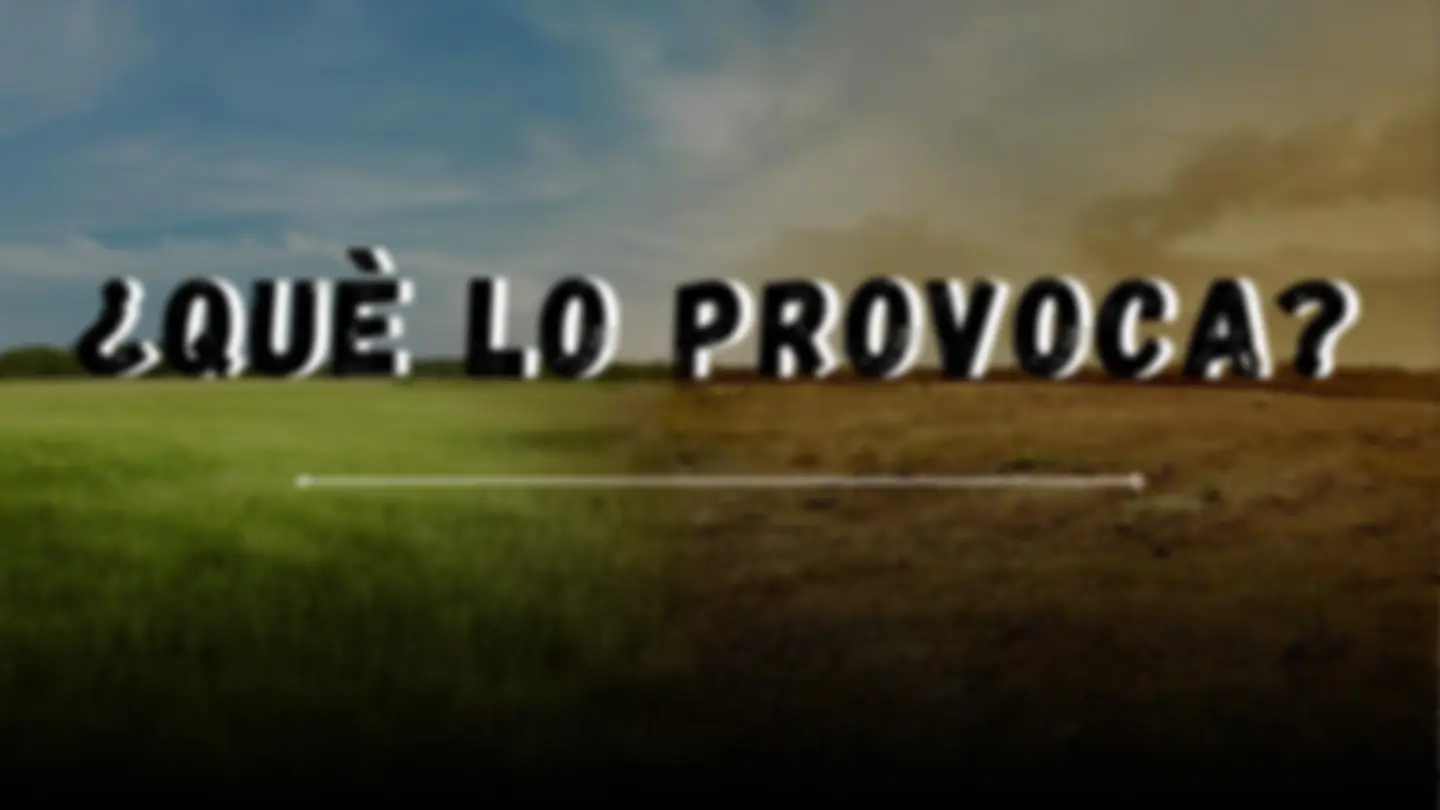 pf4