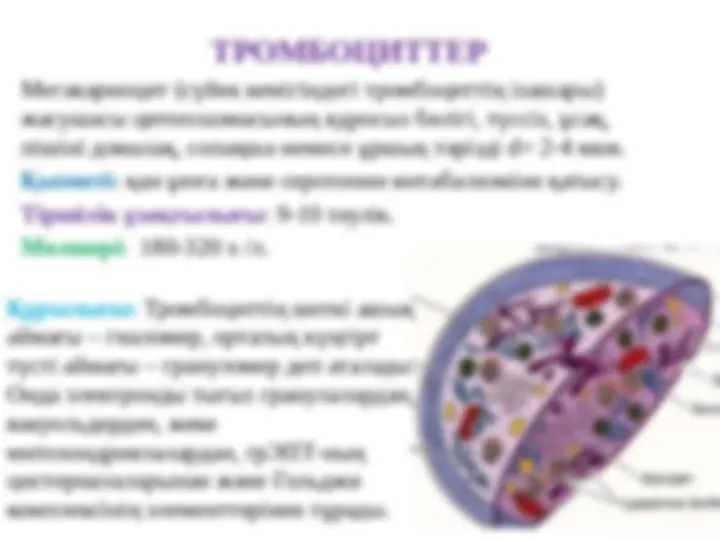 Үлкен инцест порно Оргазмды саусақпен көрсету