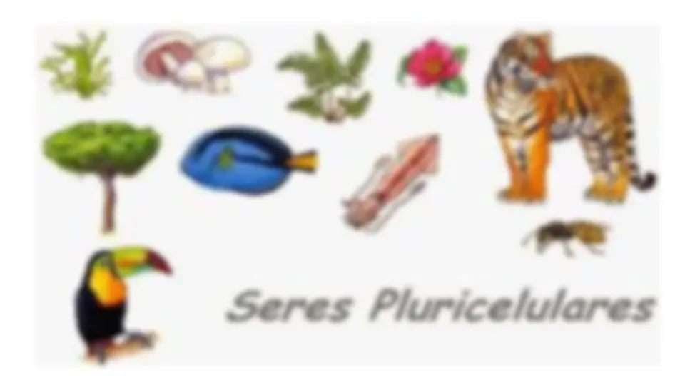 pf5