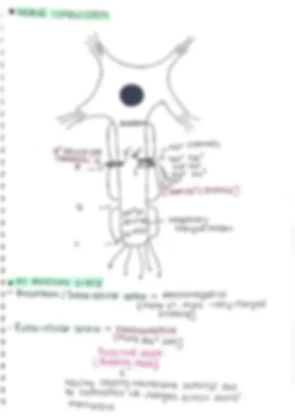 pf5