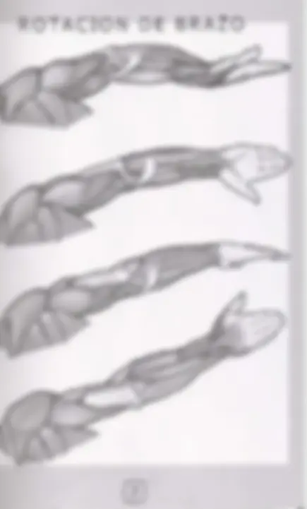 pf15