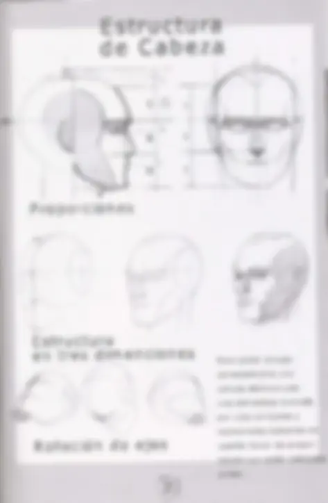 pf19