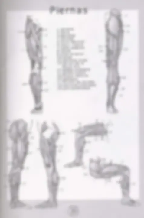 pf17