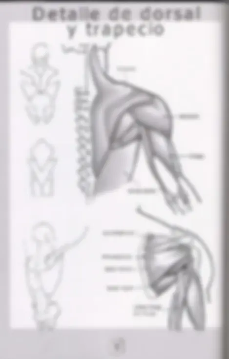 pf12