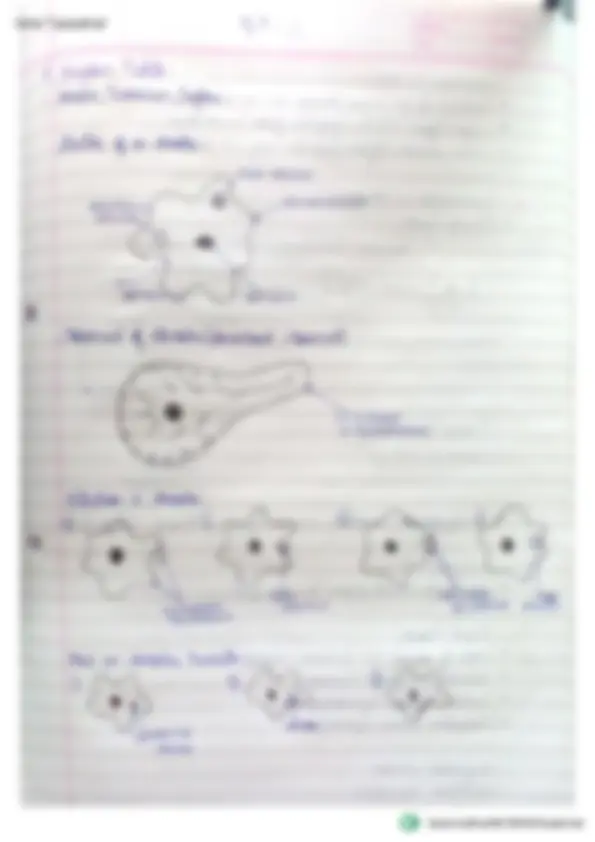 pf3