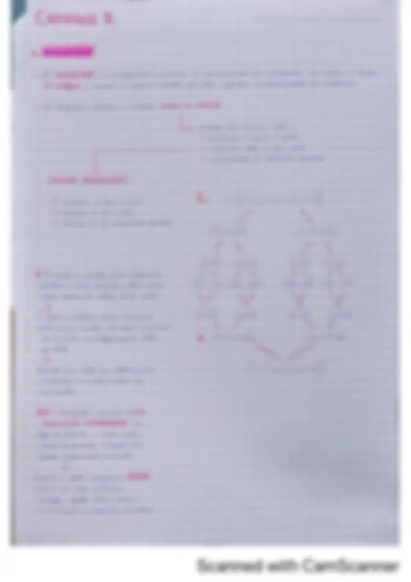 pf24