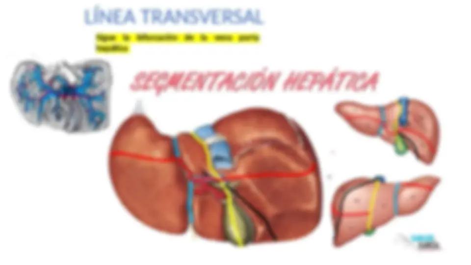 pfa
