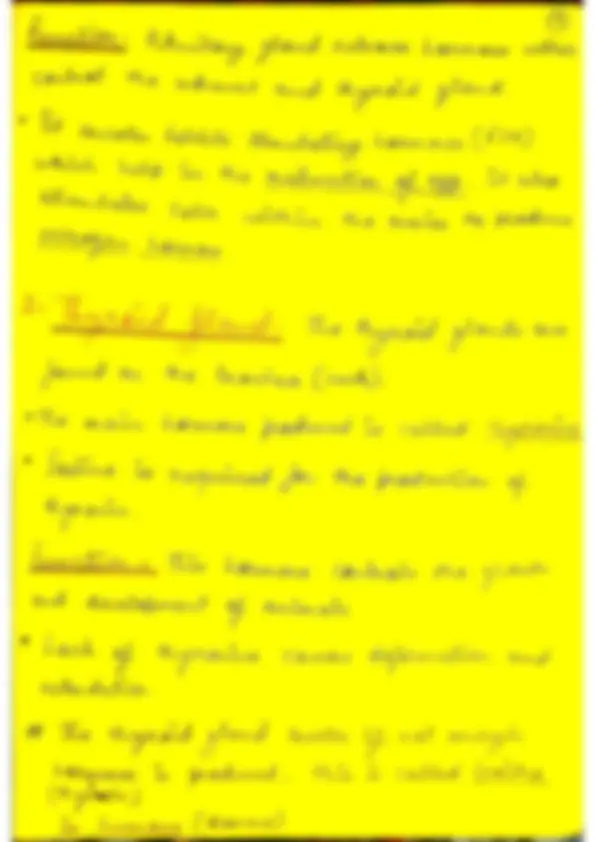 pf12