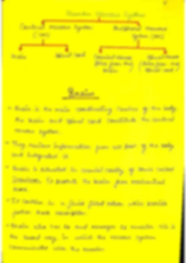 pf5