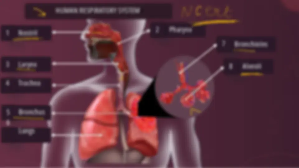 pfa