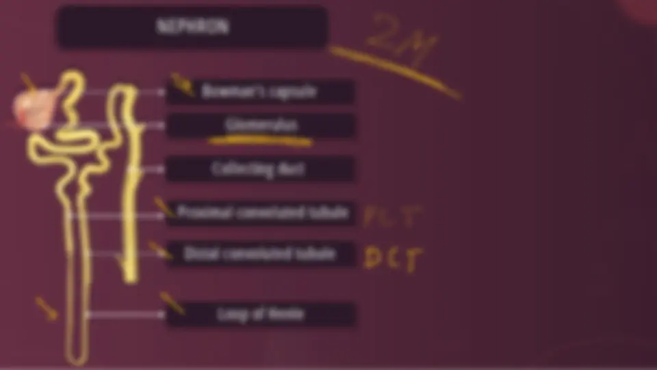 pf17