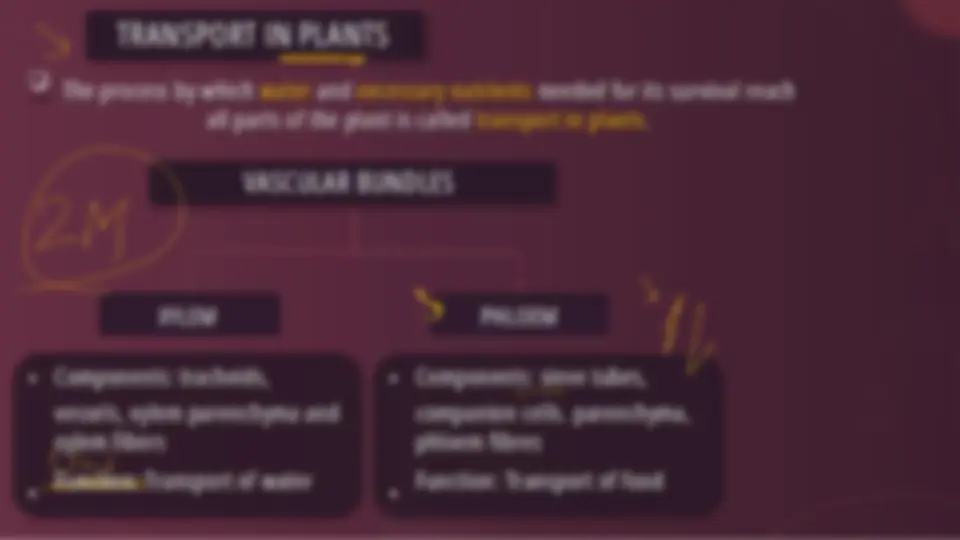 pfe
