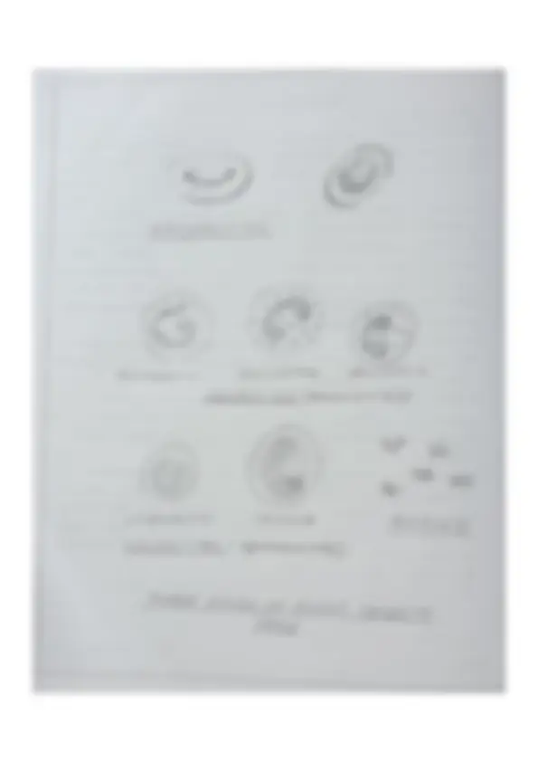 Common Practical Copy Biology Practical Copy (Part II) – 7 Experiments | Lecture notes ...