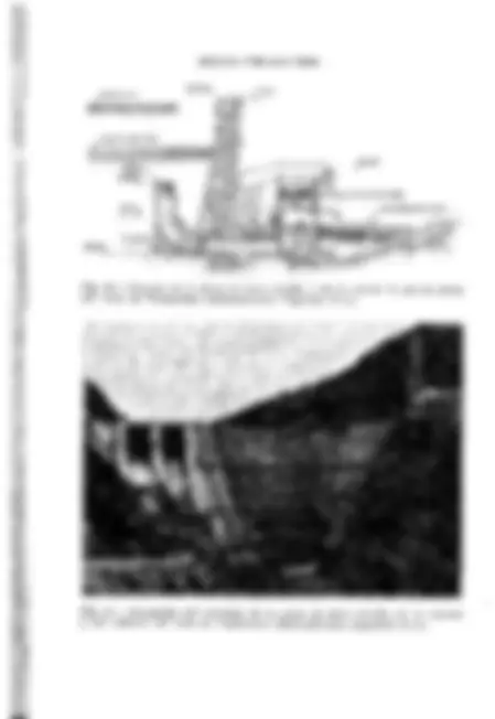 pf51