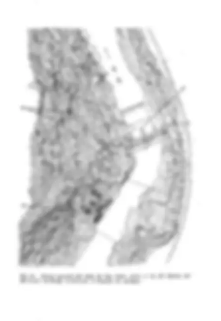 pf2f