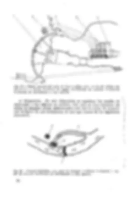 pf2e
