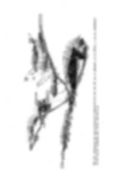 pf36