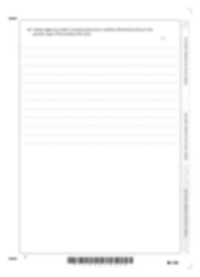 Pearson Edexcel 2024 MERGED QUESTION PAPER & MARK SCHEMEIn Business ...