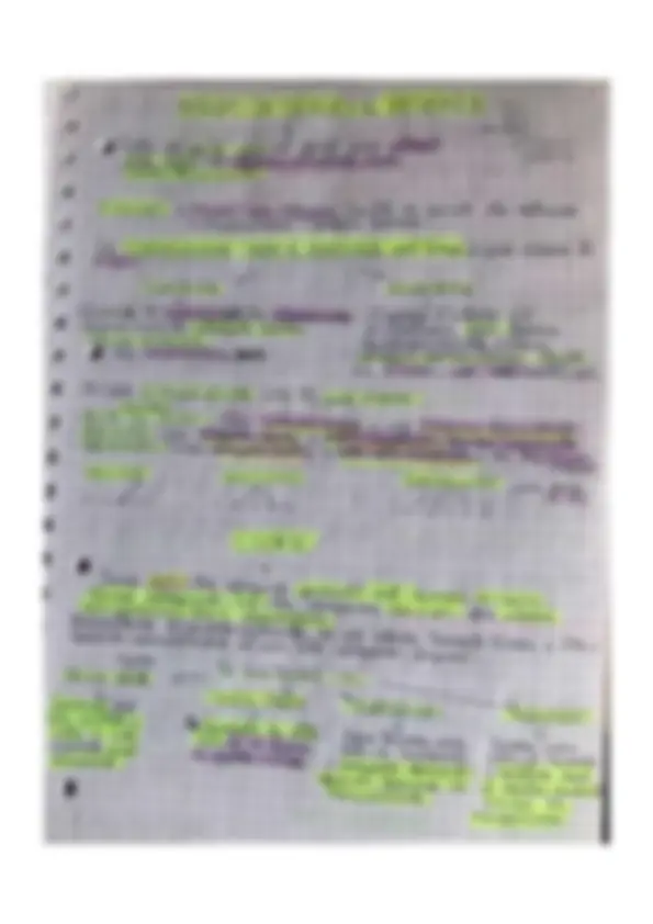 pf31