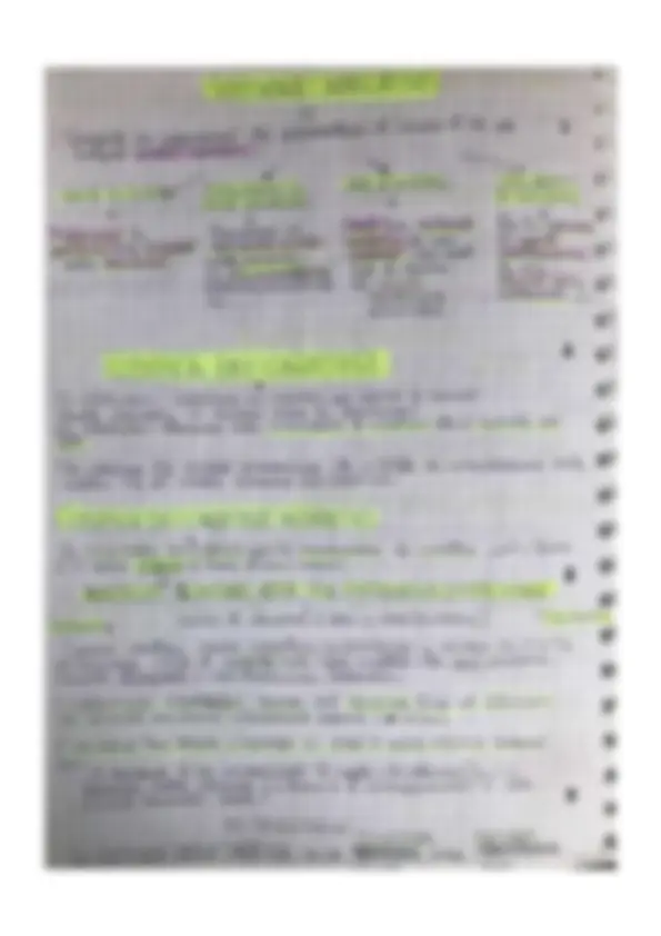 pf21