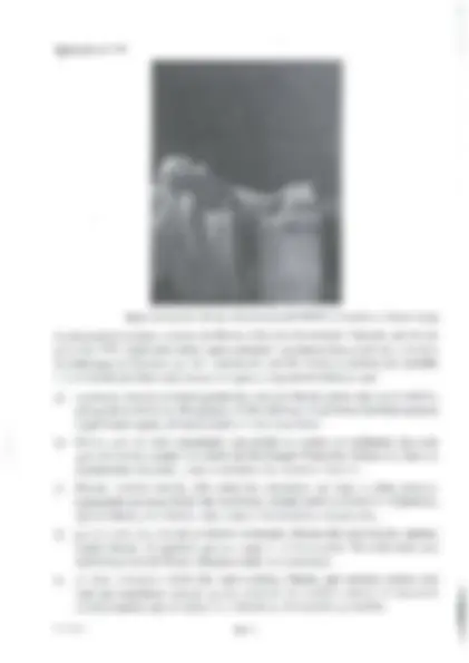 pf26
