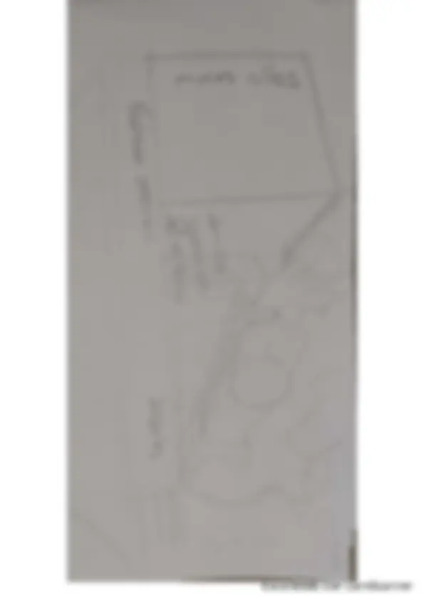 pf3