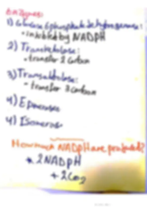 pf16