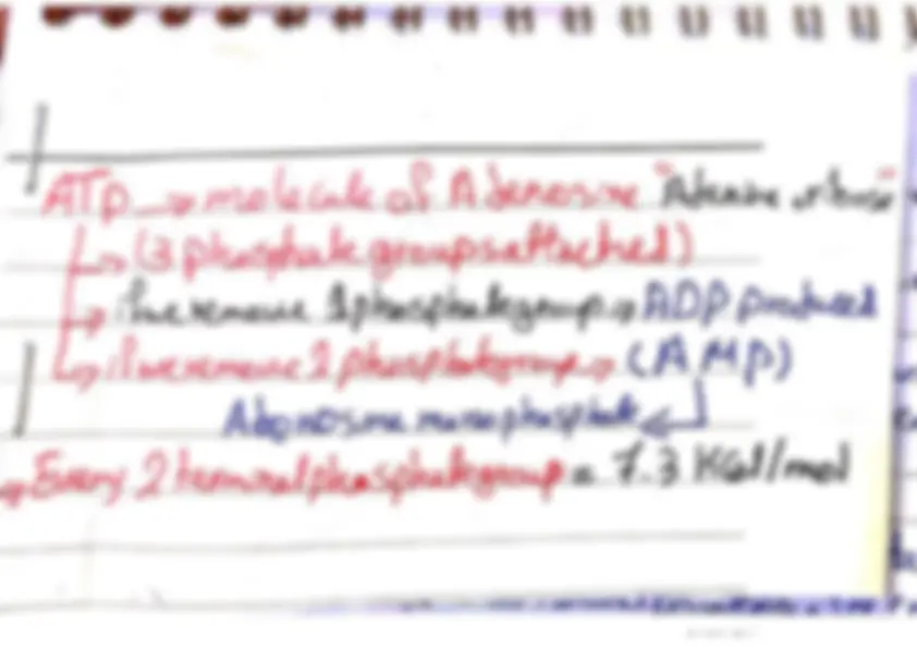 pf3