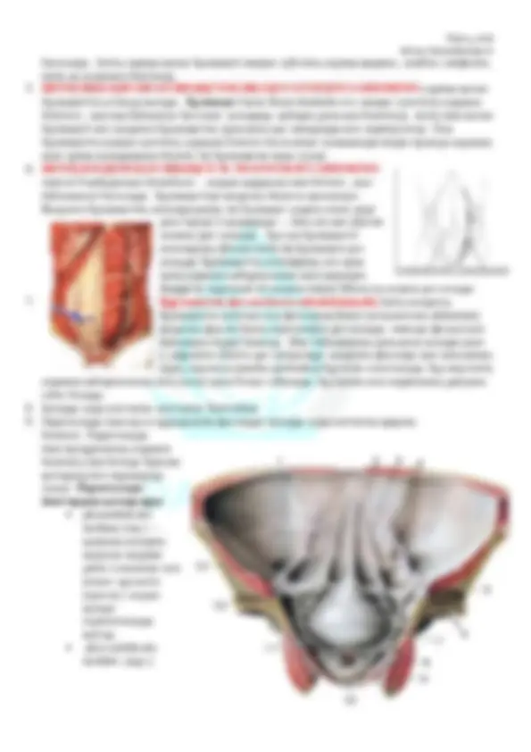 Орыс қыздары интернеттегі порно Лесби порно