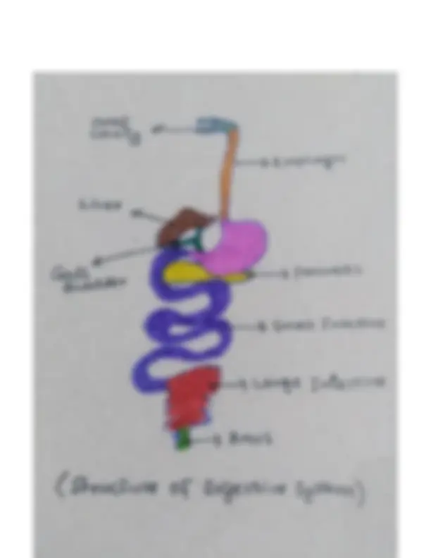 pf5