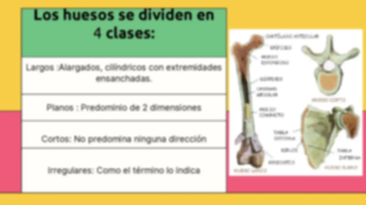 pf3