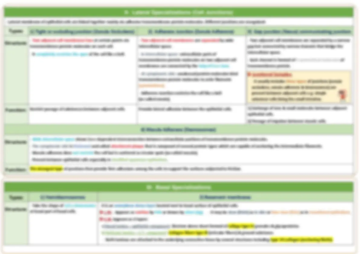 Histology Notes: Epithelial and Connective Tissues | Schemes and Mind ...