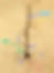 pf3