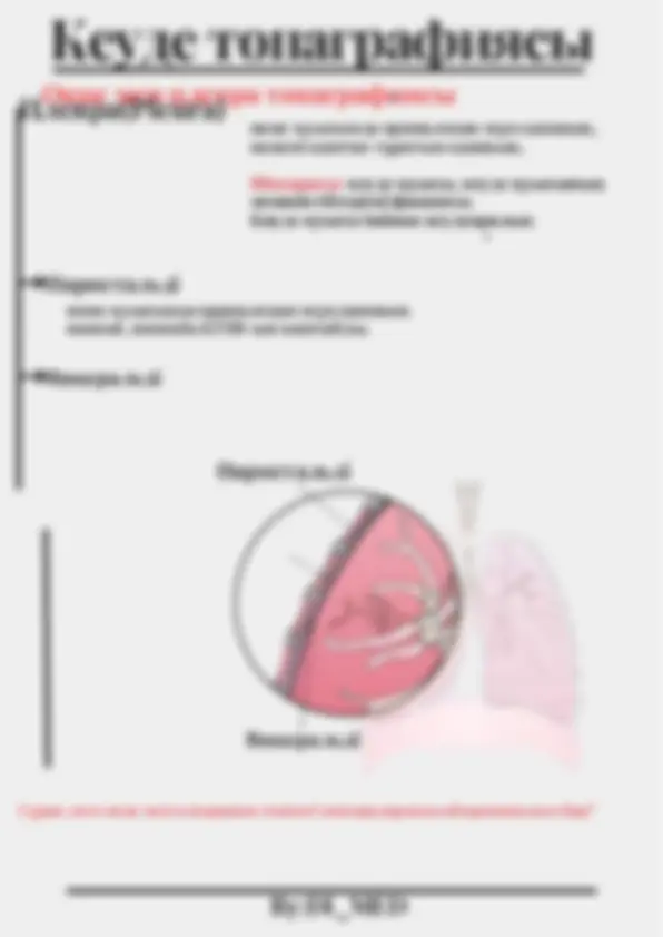 Анальды құйрық