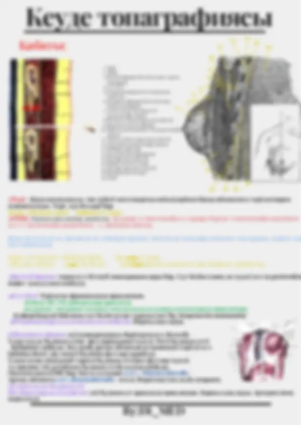 Ең әдемі әйелдердің порнографиясы