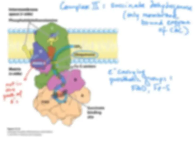 pf5