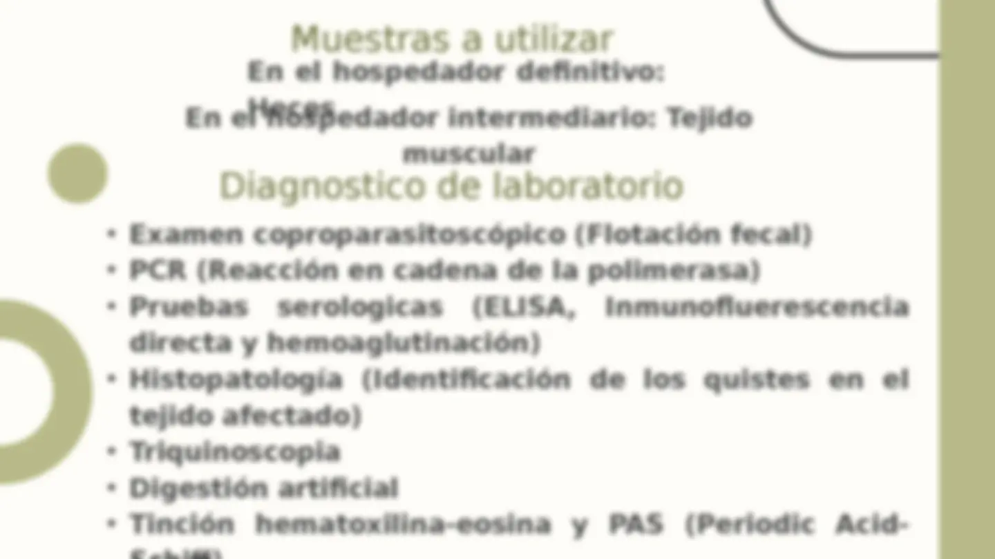 pf13