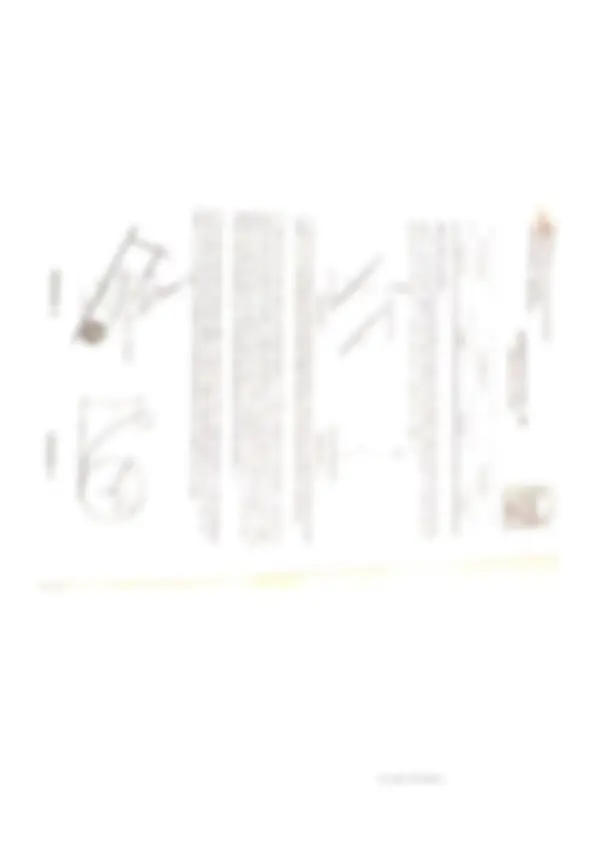 pf16