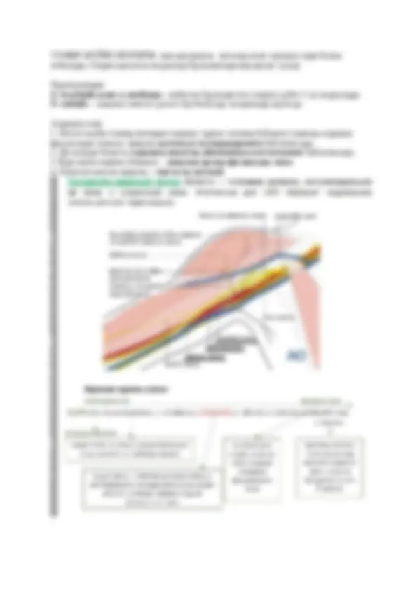 Мен жыныстық қатынасты қалаймын